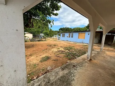 37 Pavo Real Vega Baja PR 00693
