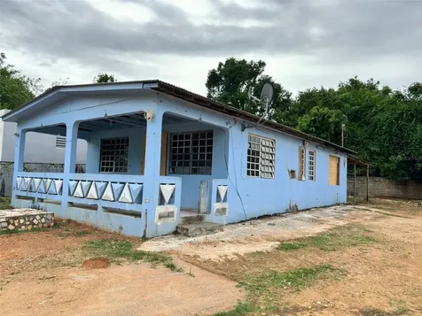37 Pavo Real Vega Baja PR 00693