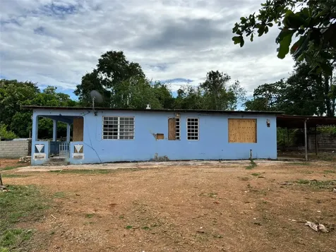 37 Pavo Real Vega Baja PR 00693
