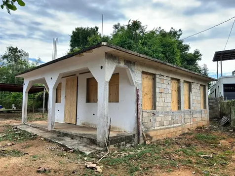 37 Pavo Real Vega Baja PR 00693