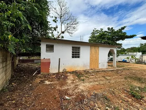 37 Pavo Real Vega Baja PR 00693