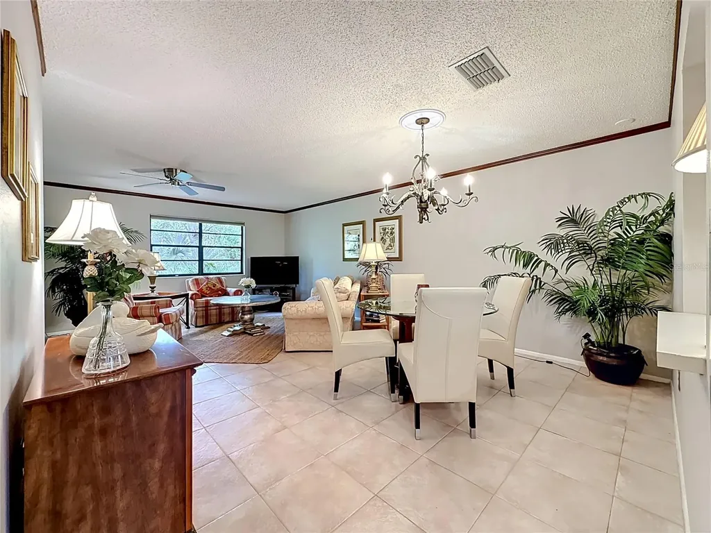 2983 Elder Court Palm Harbor FL 34684