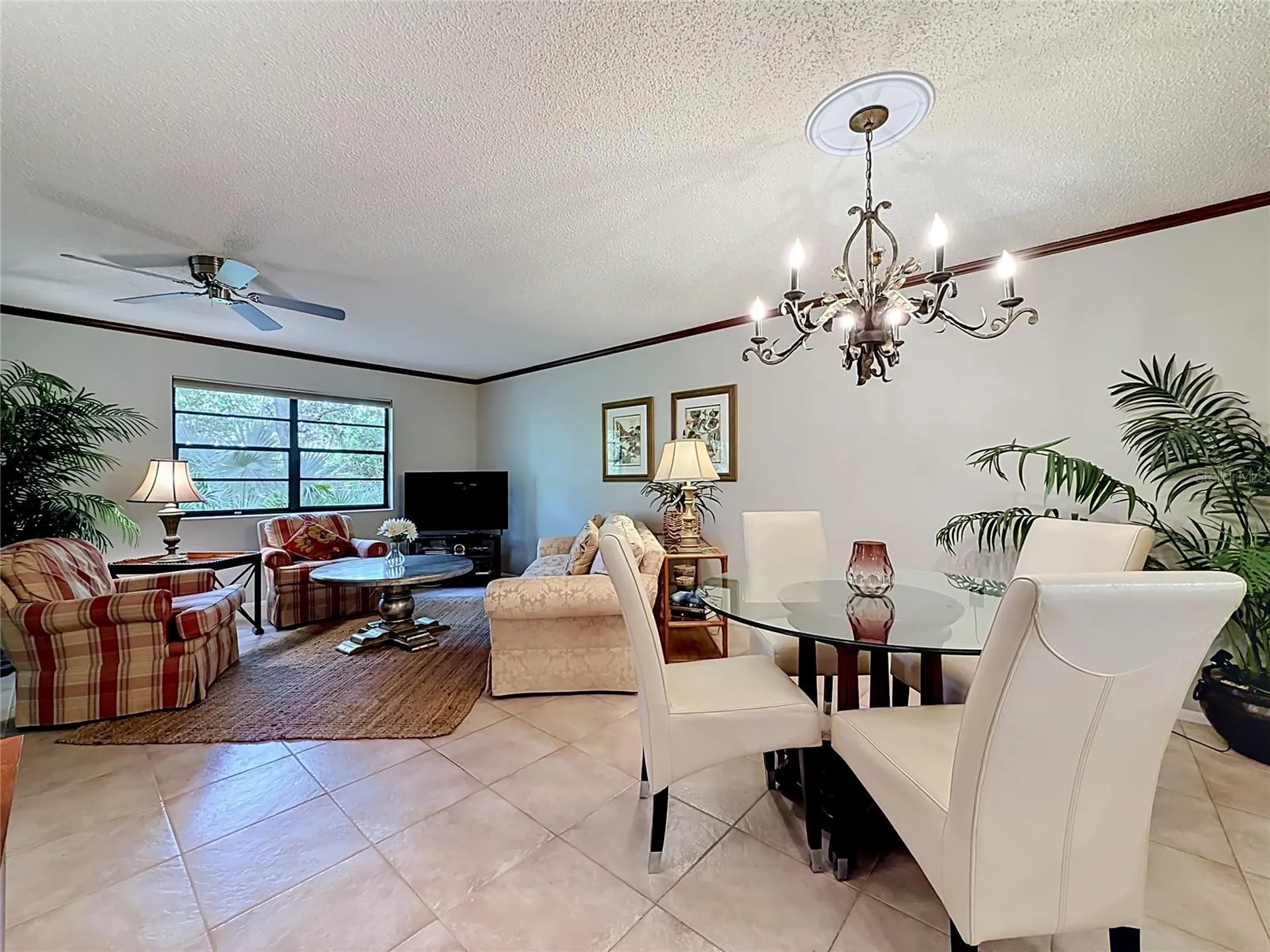 2983 Elder Court Palm Harbor FL 34684