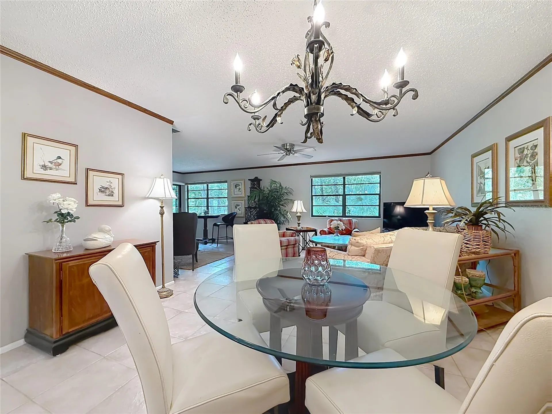 2983 Elder Court Palm Harbor FL 34684
