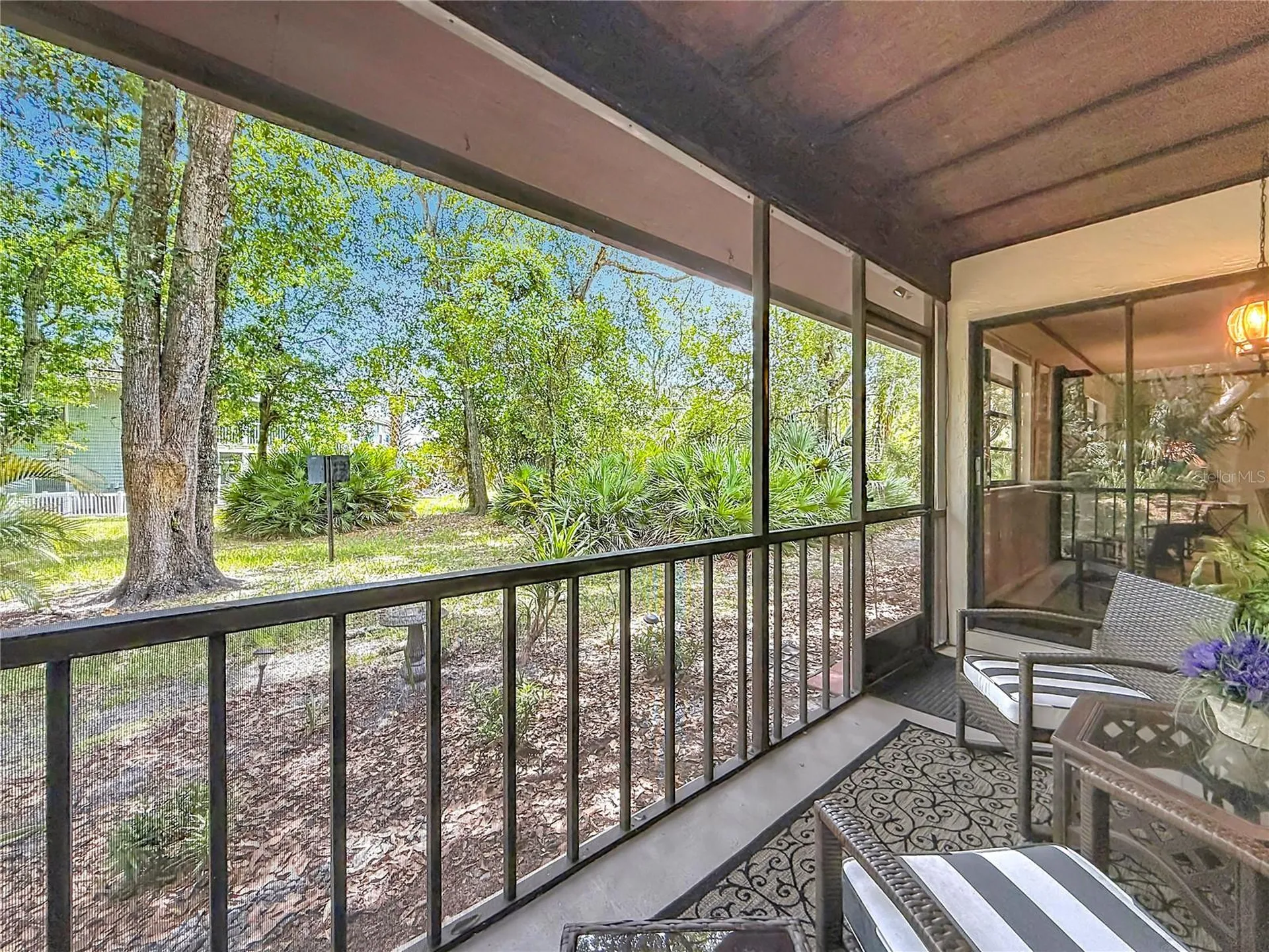 2983 Elder Court Palm Harbor FL 34684