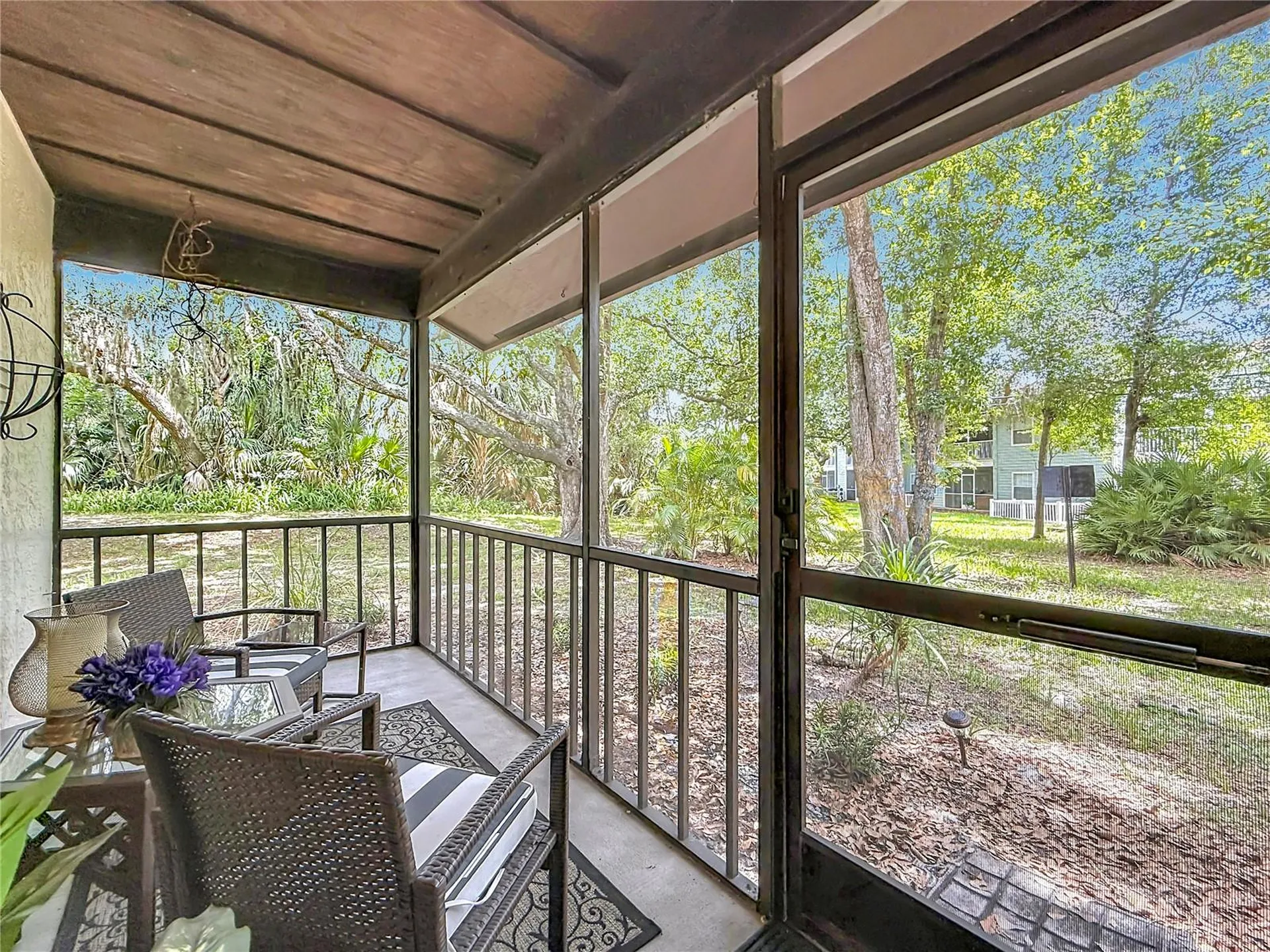 2983 Elder Court Palm Harbor FL 34684