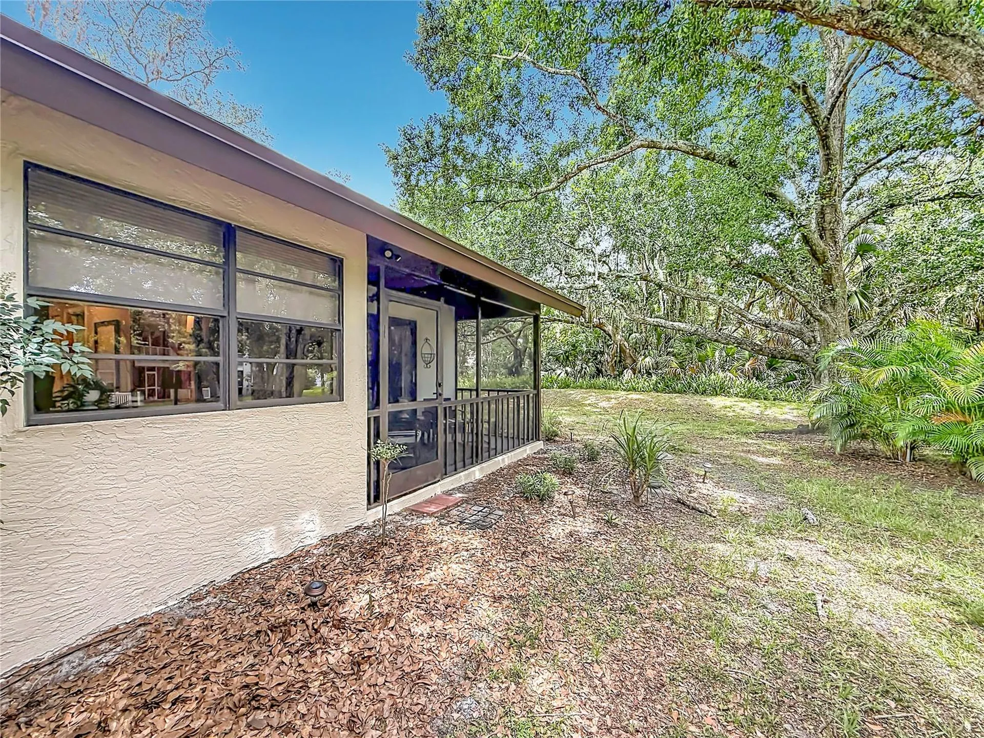 2983 Elder Court Palm Harbor FL 34684