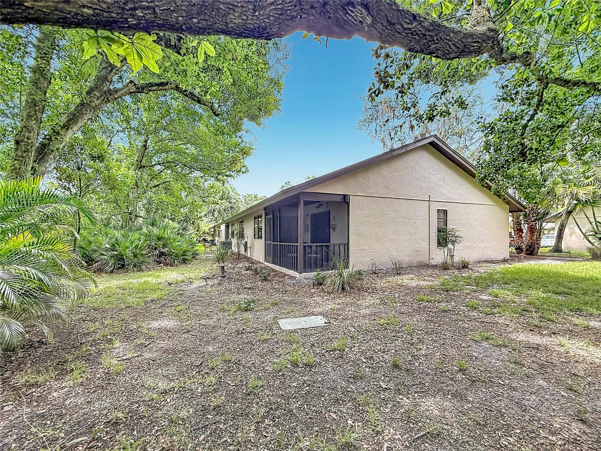 2983 Elder Court Palm Harbor FL 34684