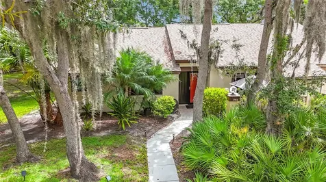 2983 Elder Court Palm Harbor FL 34684