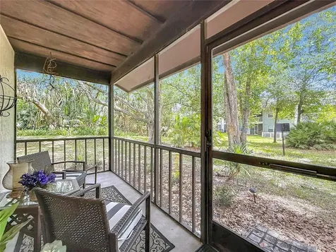 2983 Elder Court Palm Harbor FL 34684