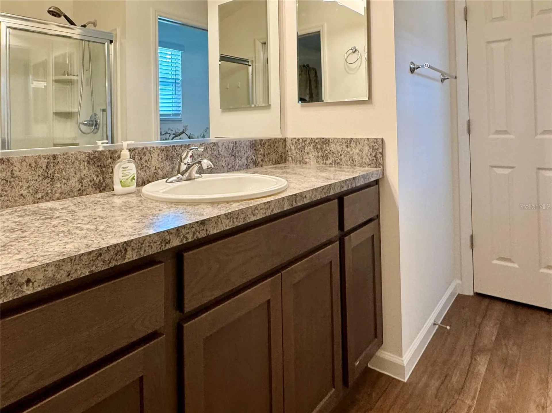 810 Roseapple Avenue Lady Lake FL 32159
