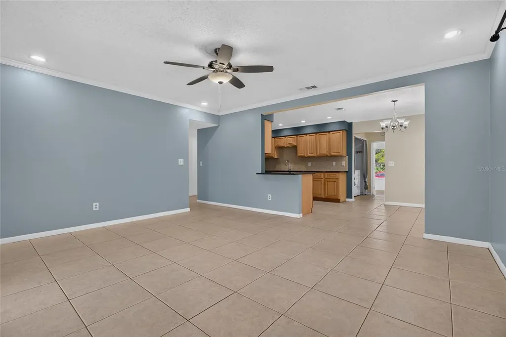 6411 Santa Monica Drive Tampa FL 33615