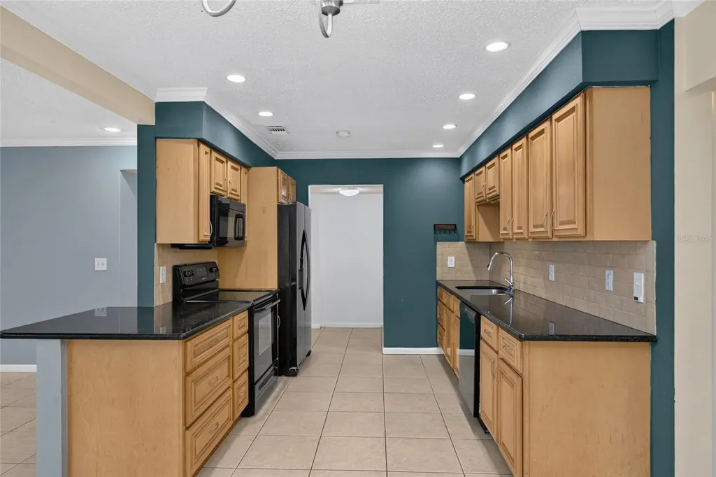 6411 Santa Monica Drive Tampa FL 33615