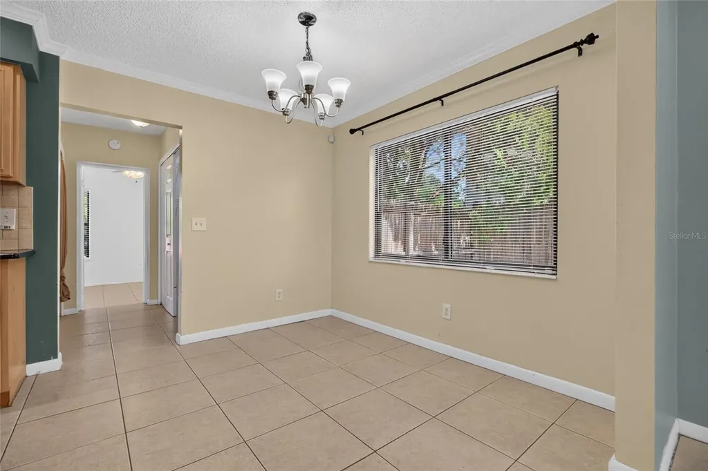 6411 Santa Monica Drive Tampa FL 33615