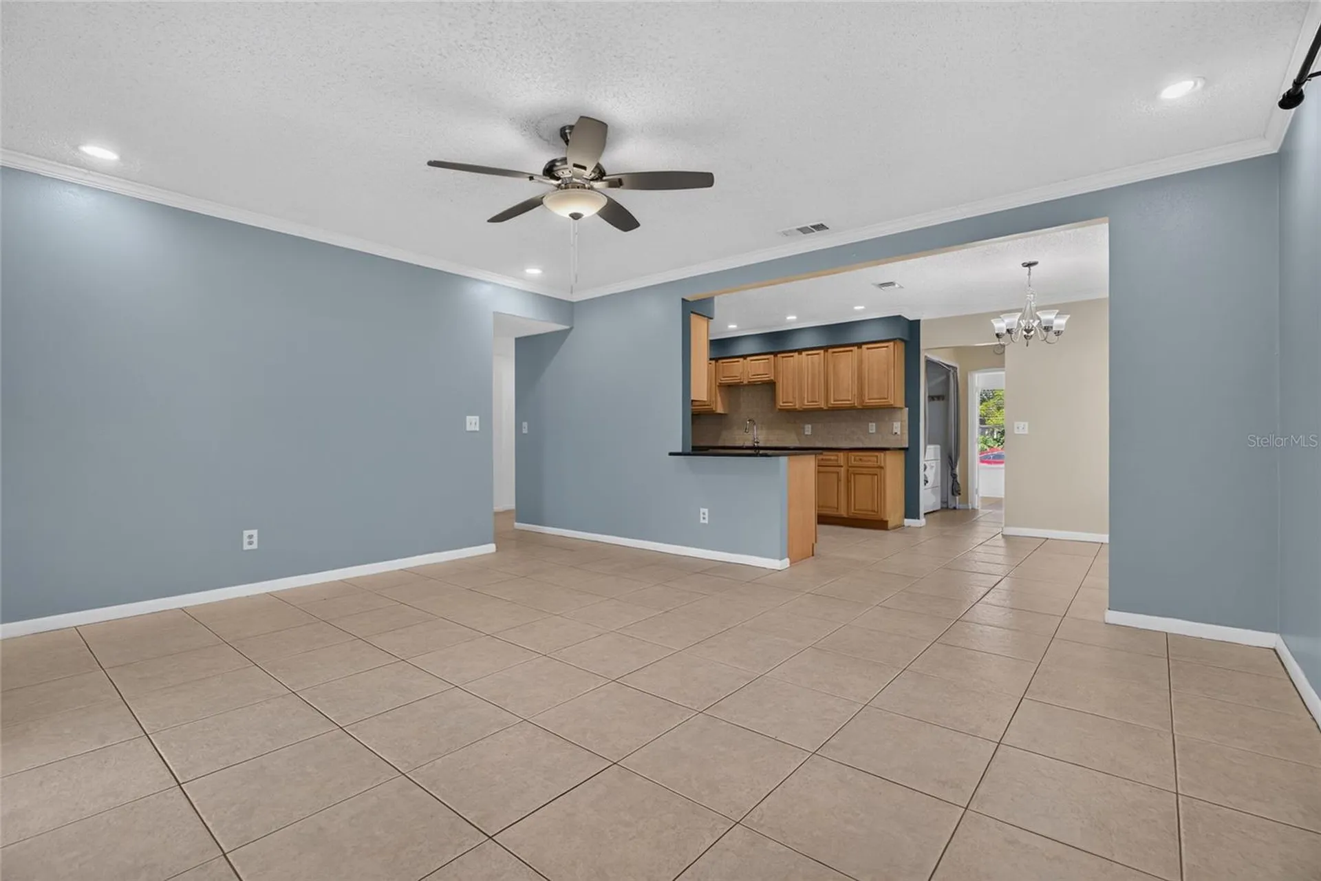 6411 Santa Monica Drive Tampa FL 33615