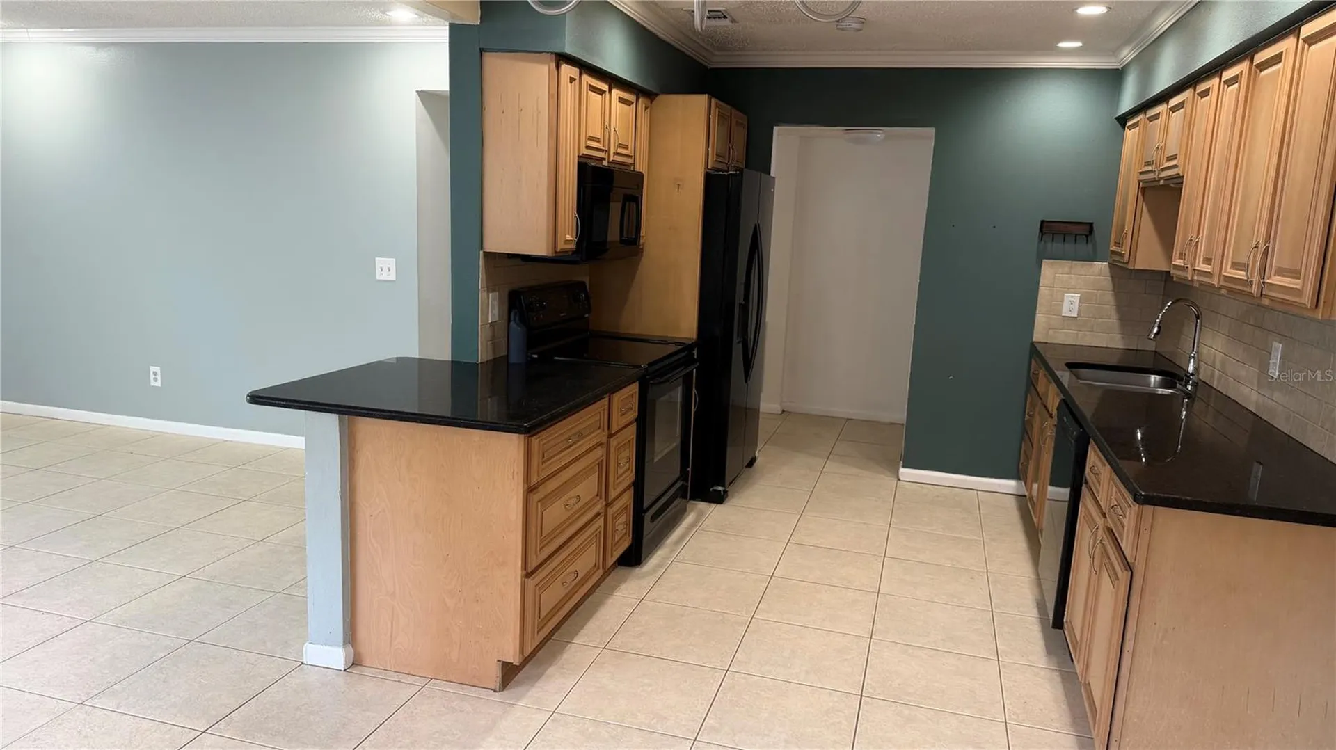 6411 Santa Monica Drive Tampa FL 33615