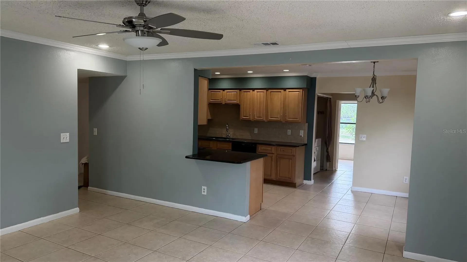 6411 Santa Monica Drive Tampa FL 33615