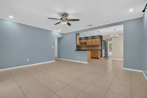 6411 Santa Monica Drive Tampa FL 33615