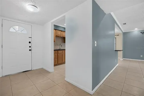 6411 Santa Monica Drive Tampa FL 33615
