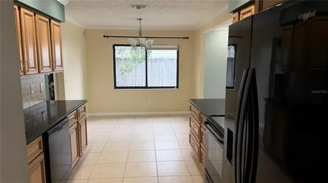 6411 Santa Monica Drive Tampa FL 33615