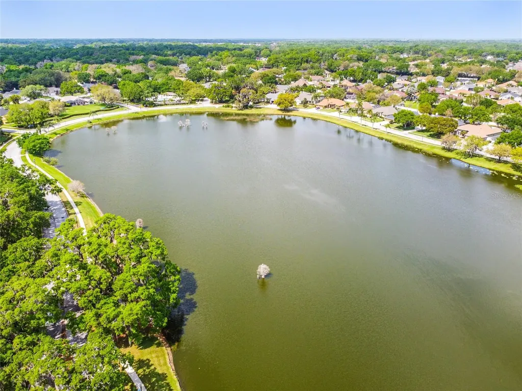 3041 Beaver Pond Trail Valrico FL 33596