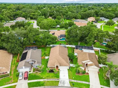 3041 Beaver Pond Trail Valrico FL 33596