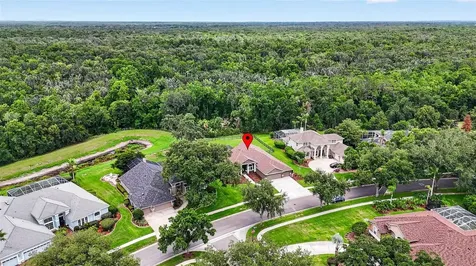 3904 S Nine Drive Valrico FL 33596
