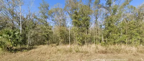 4720 Jonathan Street Hastings FL 32145