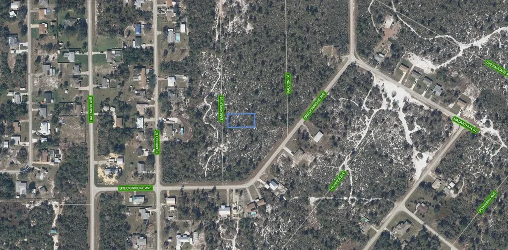 239 Sandpiper Street Lake Placid FL 33852