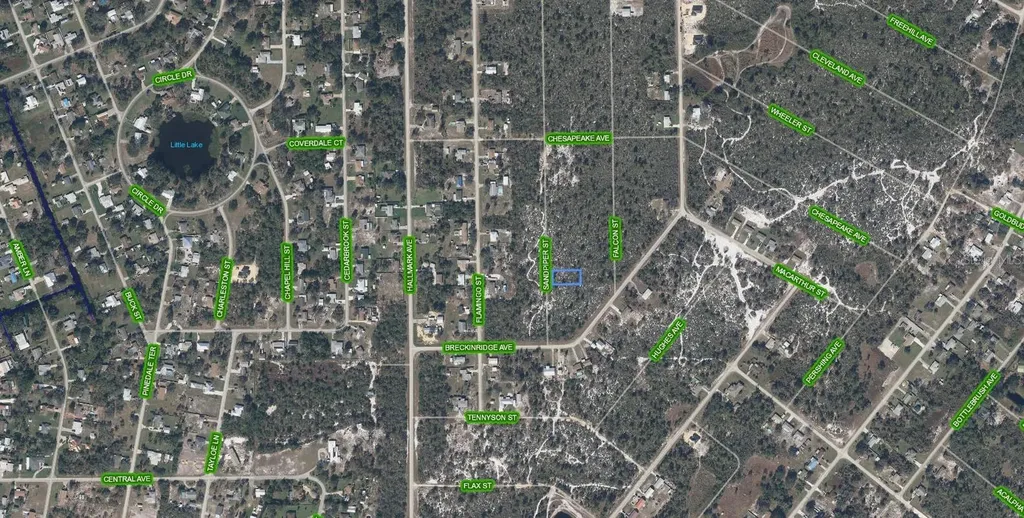 239 Sandpiper Street Lake Placid FL 33852