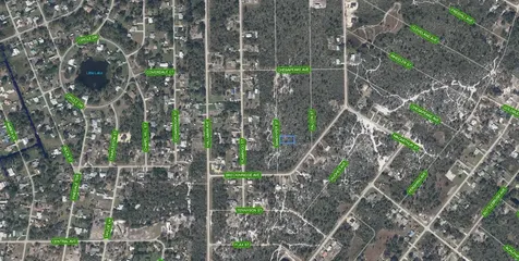239 Sandpiper Street Lake Placid FL 33852