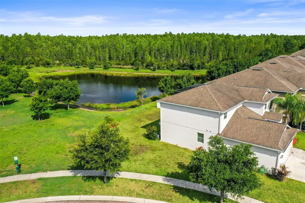 3603 Morgons Castle Court Land O Lakes FL 34638