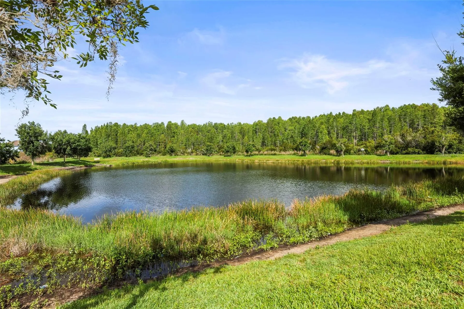 3603 Morgons Castle Court Land O Lakes FL 34638