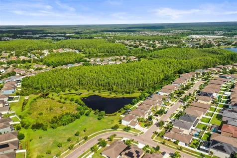 3603 Morgons Castle Court Land O Lakes FL 34638