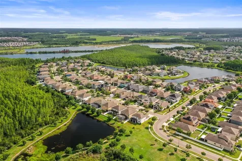 3603 Morgons Castle Court Land O Lakes FL 34638