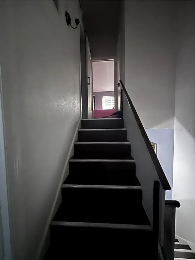 4515 La Capri Court Tampa FL 33611