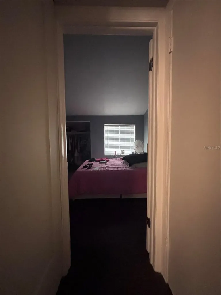 4515 La Capri Court Tampa FL 33611