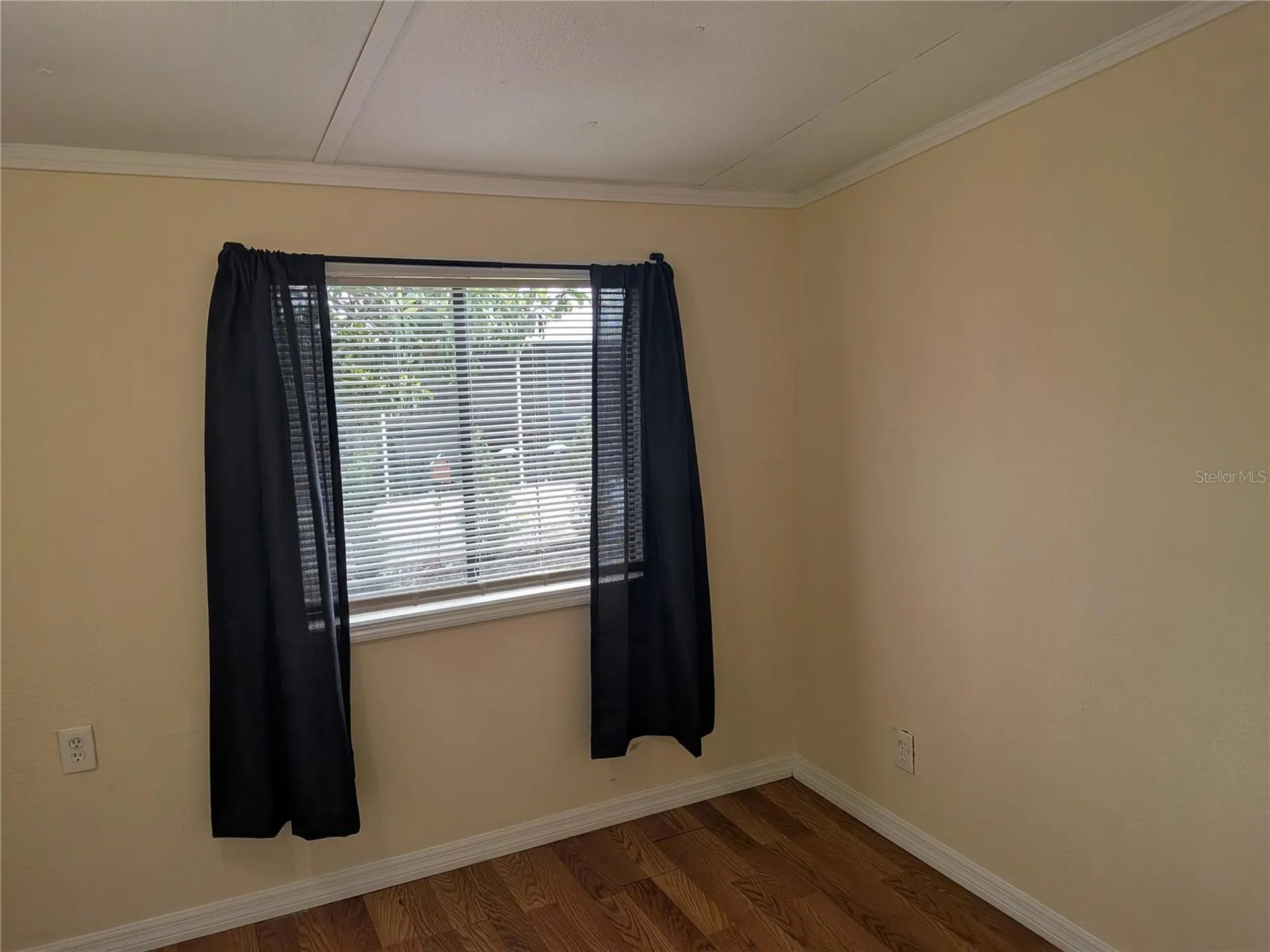 3030 Beaver Creek Drive Wesley Chapel FL 33543