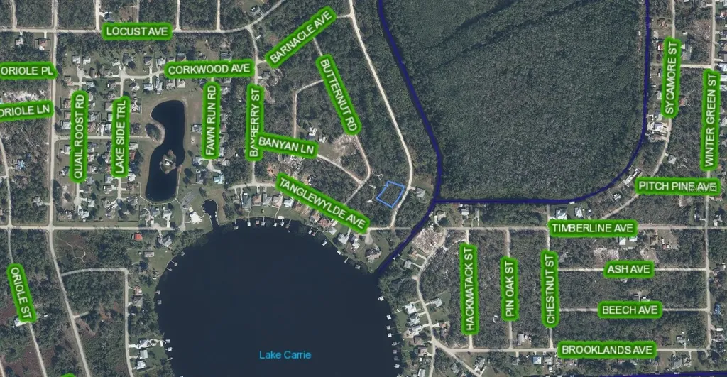 1104 Greenfield Street Lake Placid FL 33852
