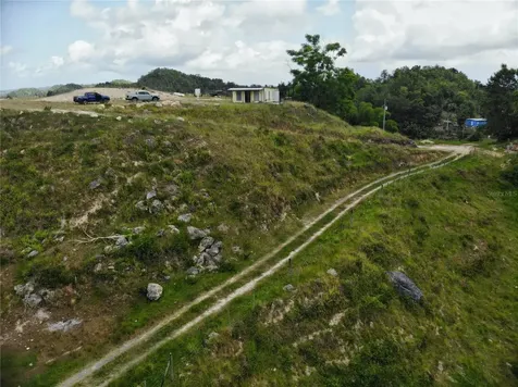 Carr 626 Bo Calichoza Arecibo PR 00613