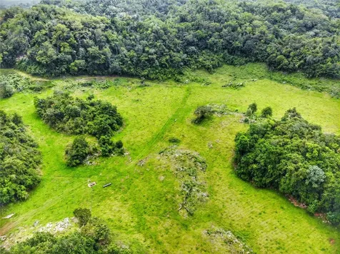 Carr 626 Bo Calichoza Arecibo PR 00613