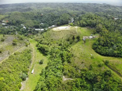 Carr 626 Bo Calichoza Arecibo PR 00613