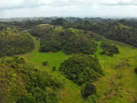Carr 626 Bo Calichoza Arecibo PR 00613