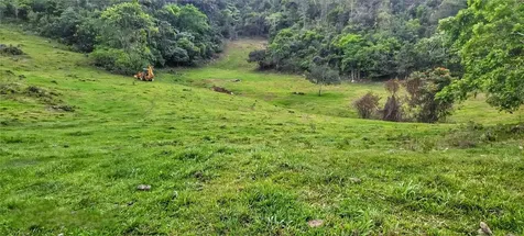 Carr 626 Bo Calichoza Arecibo PR 00613