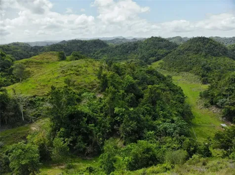 Carr 626 Bo Calichoza Arecibo PR 00613