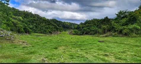Carr 626 Bo Calichoza Arecibo PR 00613