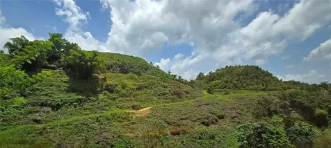 Carr 626 Bo Calichoza Arecibo PR 00613