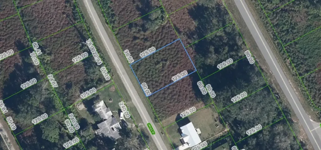 1025 Oriole Street Lake Placid FL 33852