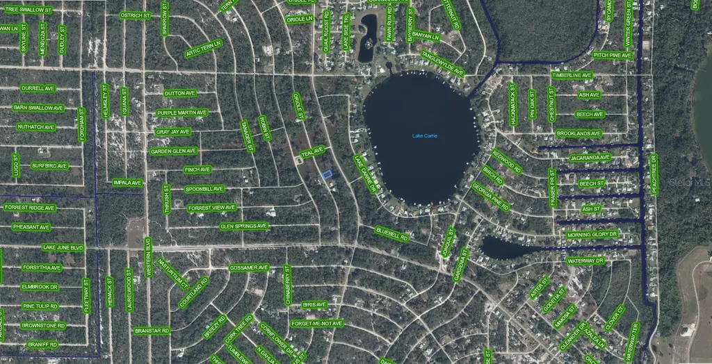 1025 Oriole Street Lake Placid FL 33852