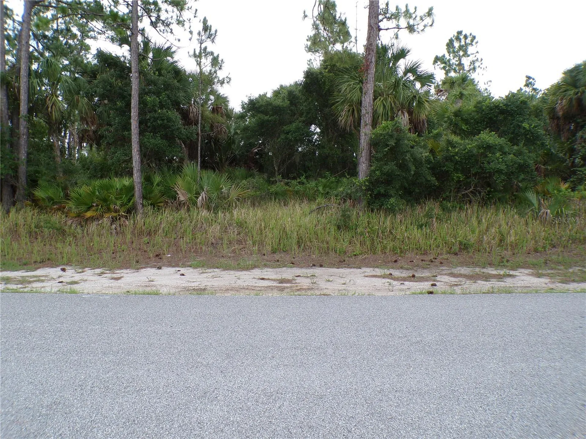 Chickasaw Avenue North Port FL 34288